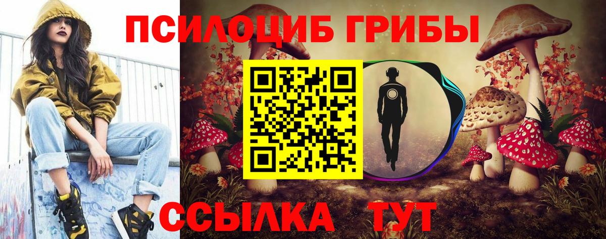 Ульяновск  Псилоцибиновые грибы Cubensis  Вход с VPN  Псилоцибиновые грибы мицелий 
